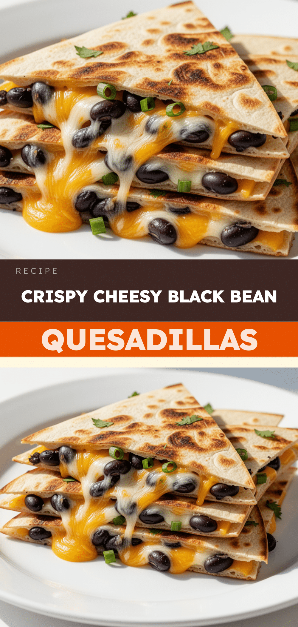 Back to School Cheesy Quesadilla Triangles: Best Weeknight Meal 5 Back to School Cheesy Quesadilla Triangles with Black Beans recipe