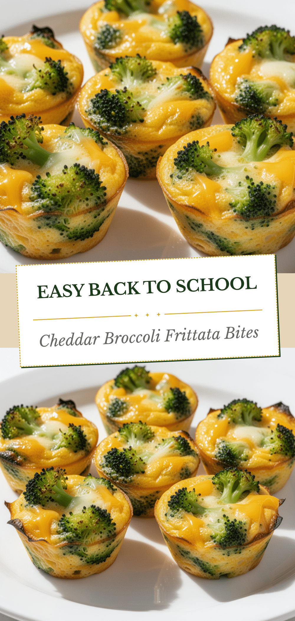 Back to School Cheddar Broccoli Mini Frittata Bites: 10-Minute Easy Kids Breakfast 5 Cheddar Broccoli Mini Frittata Bites recipe
