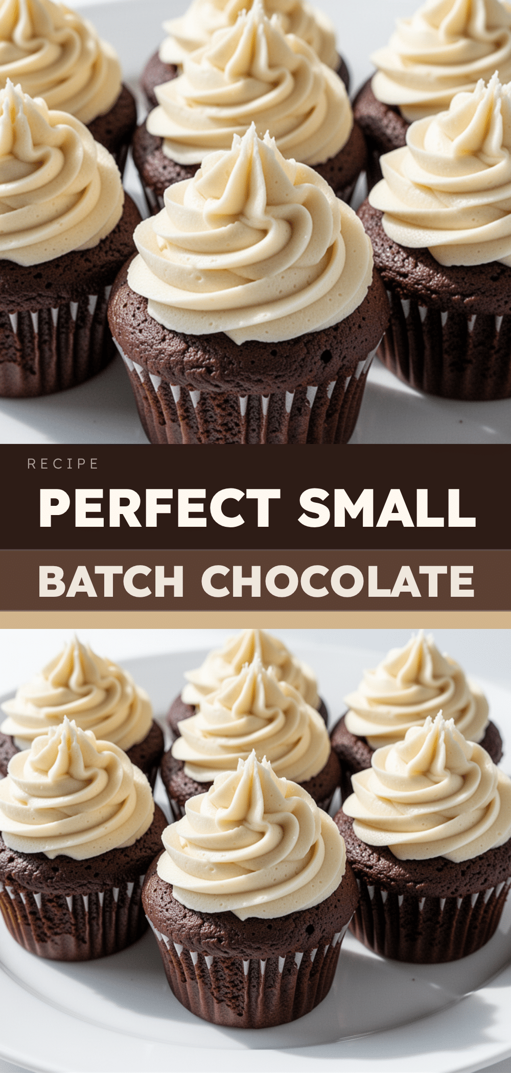Small Batch Chocolate Cupcakes: Best Vanilla Frosting 5 small batch chocolate cupcakes recipe