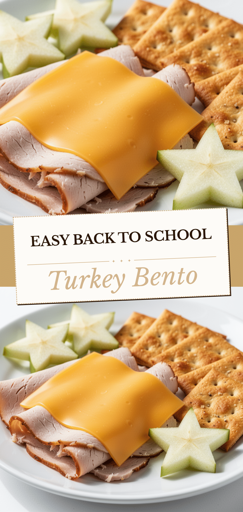 Turkey and Cheese Bento Box: 5 Easy Back to School Lunches 5 Turkey and Cheese Bento Box recipe